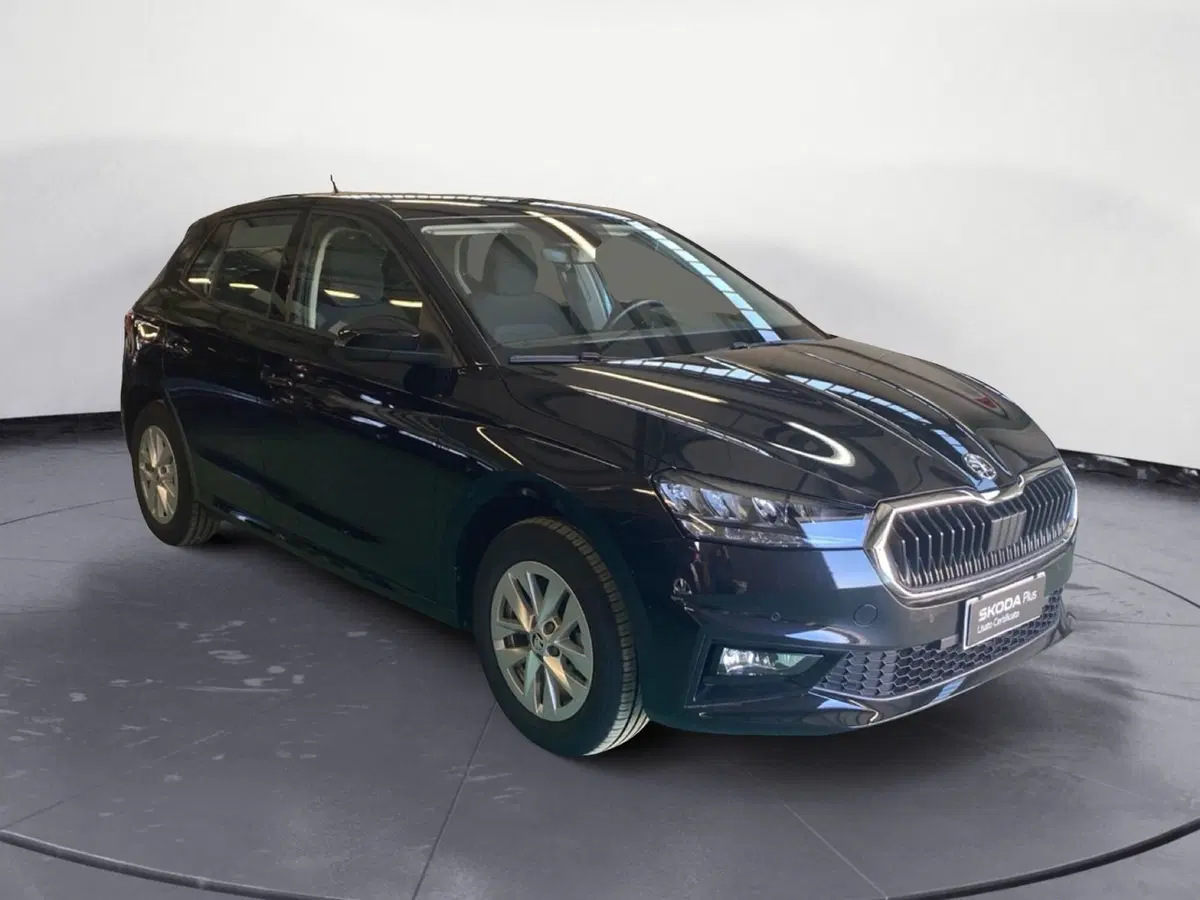 Skoda Fabia usata a Reggio Calabria (3)