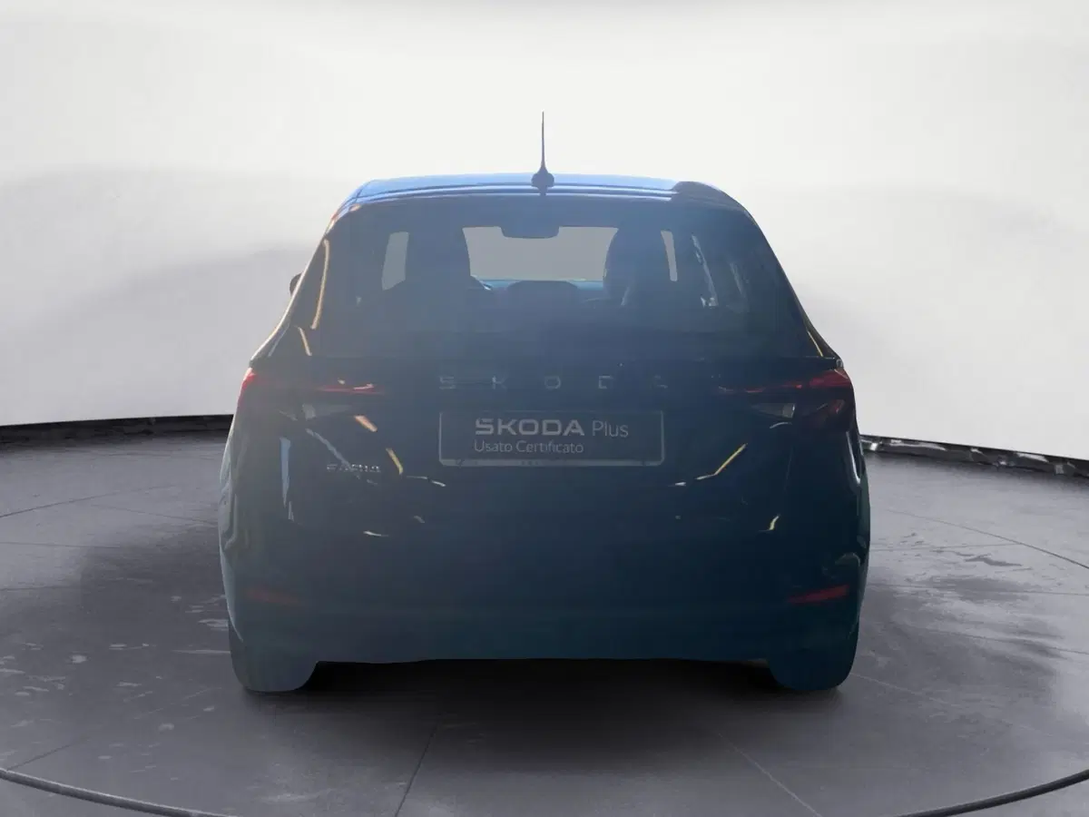 Skoda Fabia usata a Reggio Calabria (5)