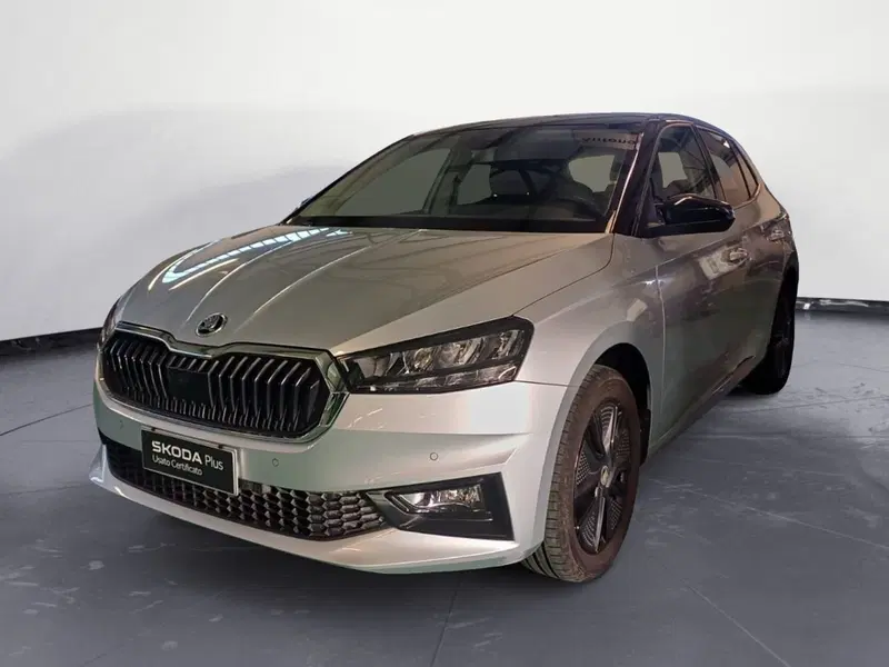 Skoda Fabia usata a Catanzaro