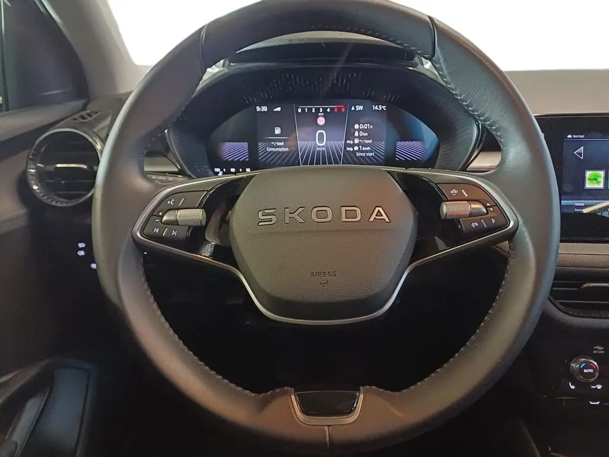 Skoda Fabia usata a Catanzaro (11)