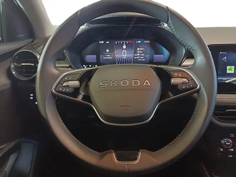 Skoda Fabia usata a Catanzaro (11)