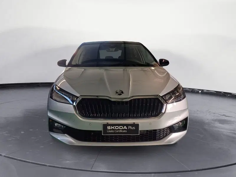 Skoda Fabia usata a Catanzaro (2)