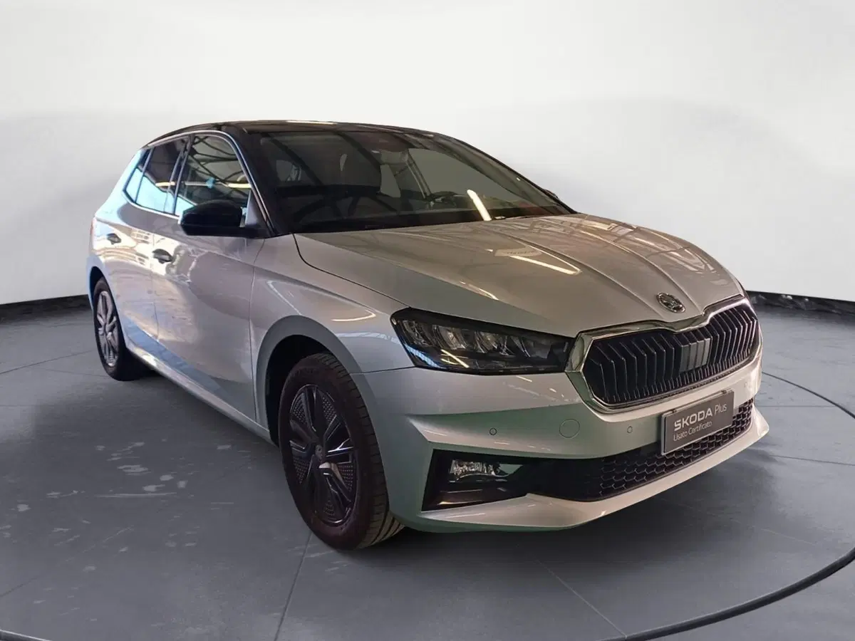 Skoda Fabia usata a Catanzaro (3)