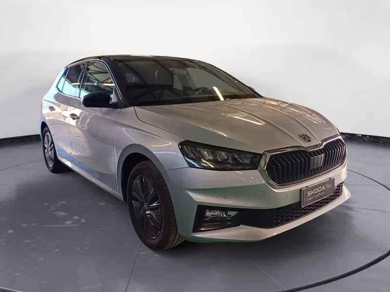Skoda Fabia usata a Catanzaro (3)