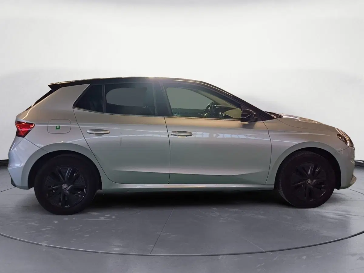 Skoda Fabia usata a Catanzaro (4)