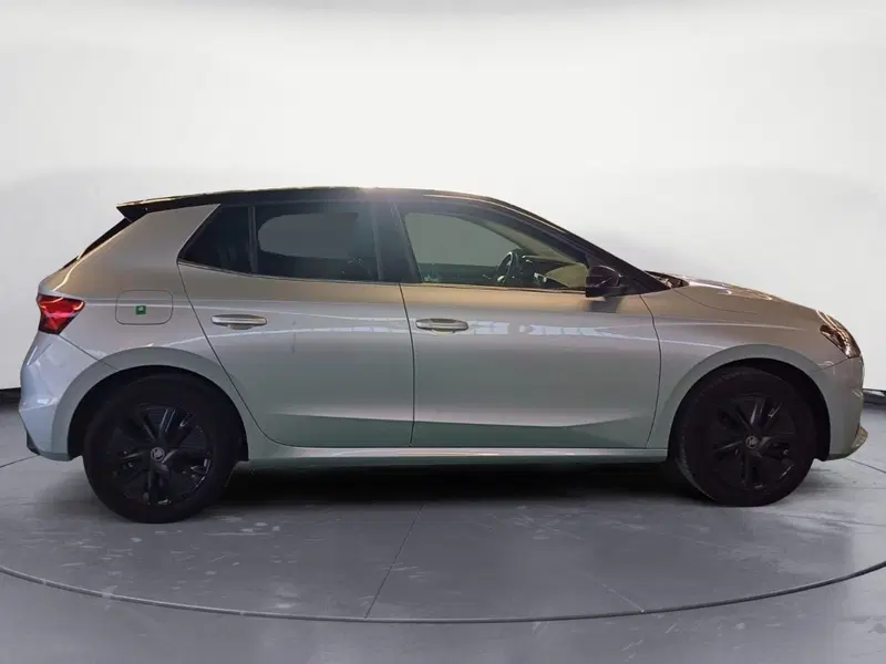 Skoda Fabia usata a Catanzaro (4)