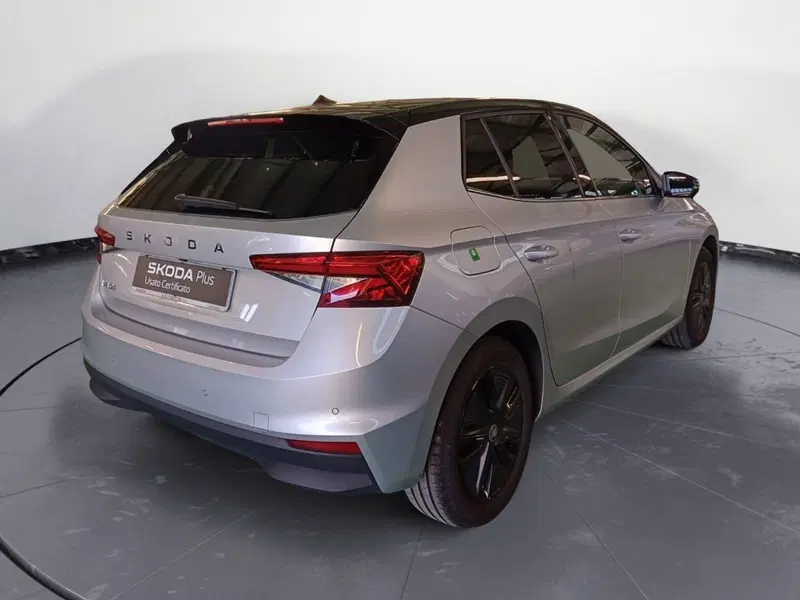 Skoda Fabia usata a Catanzaro (5)