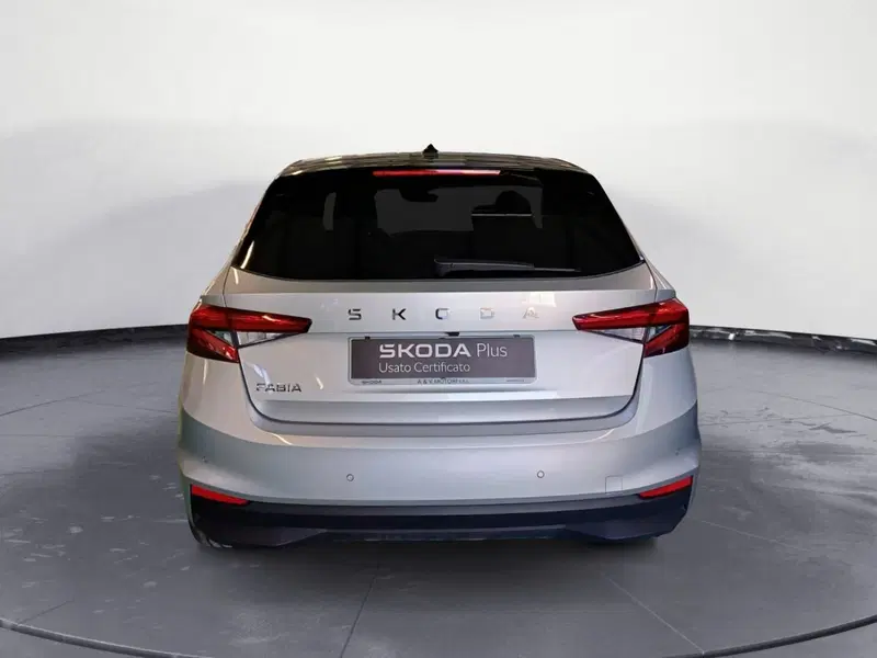 Skoda Fabia usata a Catanzaro (6)