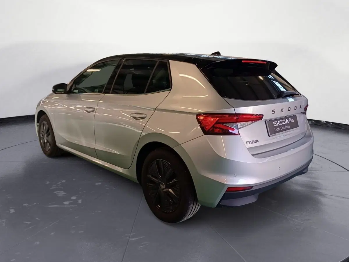 Skoda Fabia usata a Catanzaro (7)