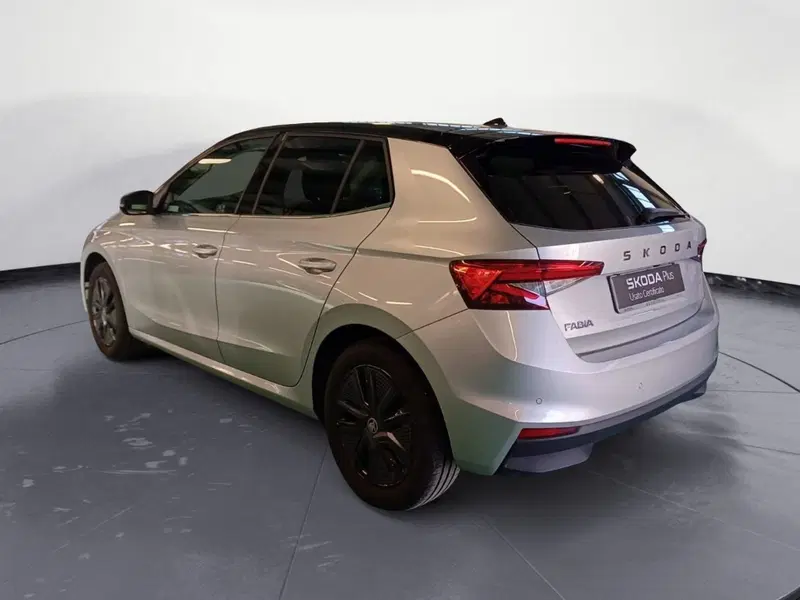 Skoda Fabia usata a Catanzaro (7)