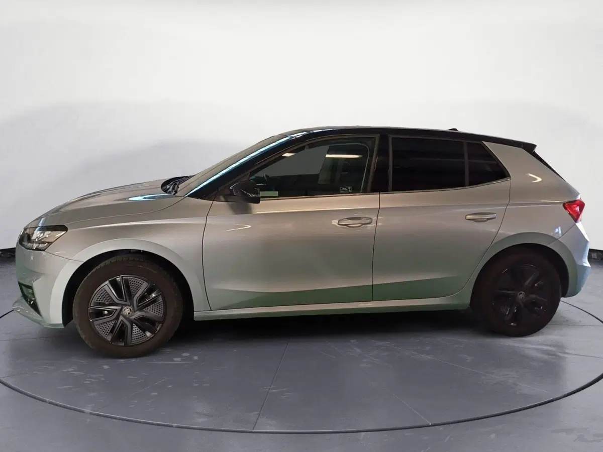 Skoda Fabia usata a Catanzaro (8)