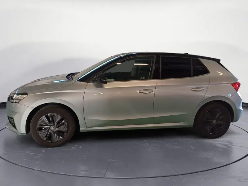 Skoda Fabia usata a Catanzaro (8)