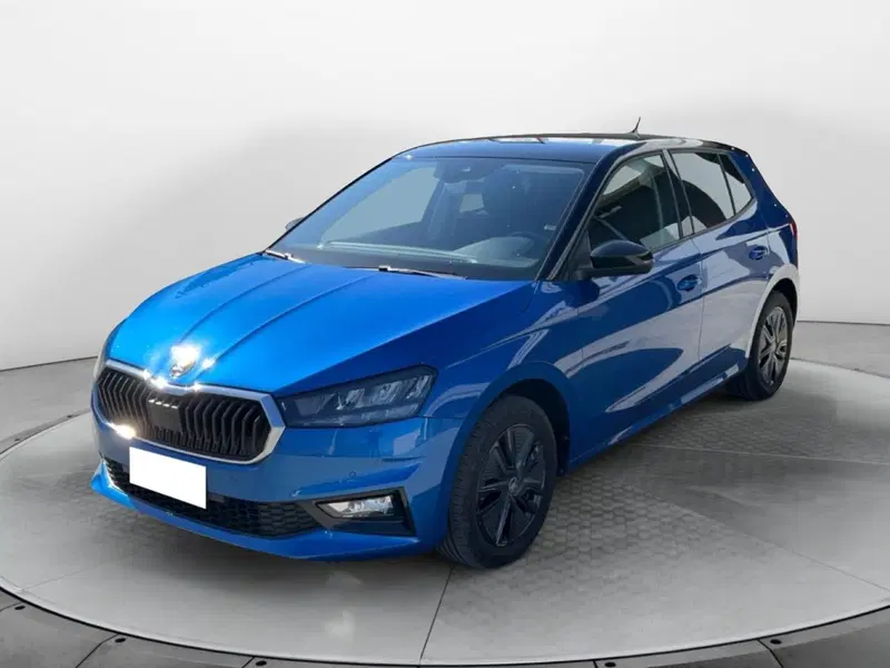 Skoda Fabia usata a Reggio Calabria