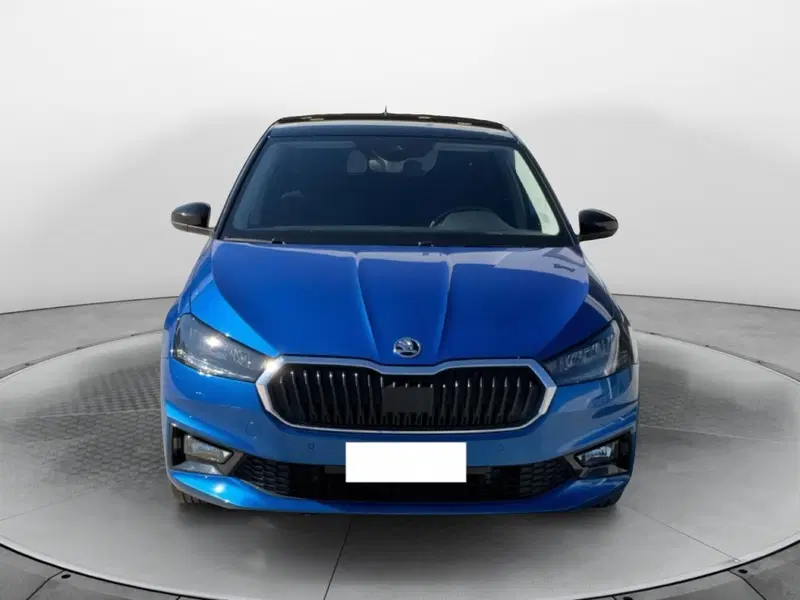 Skoda Fabia usata a Reggio Calabria (2)