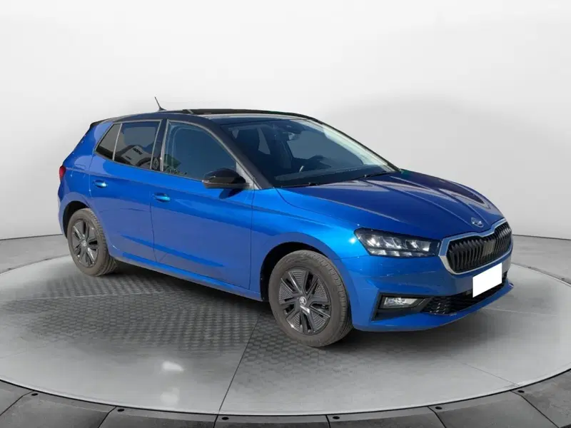 Skoda Fabia usata a Reggio Calabria (3)