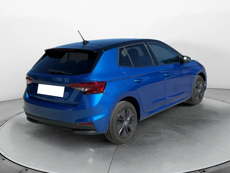 Skoda Fabia usata a Reggio Calabria (5)