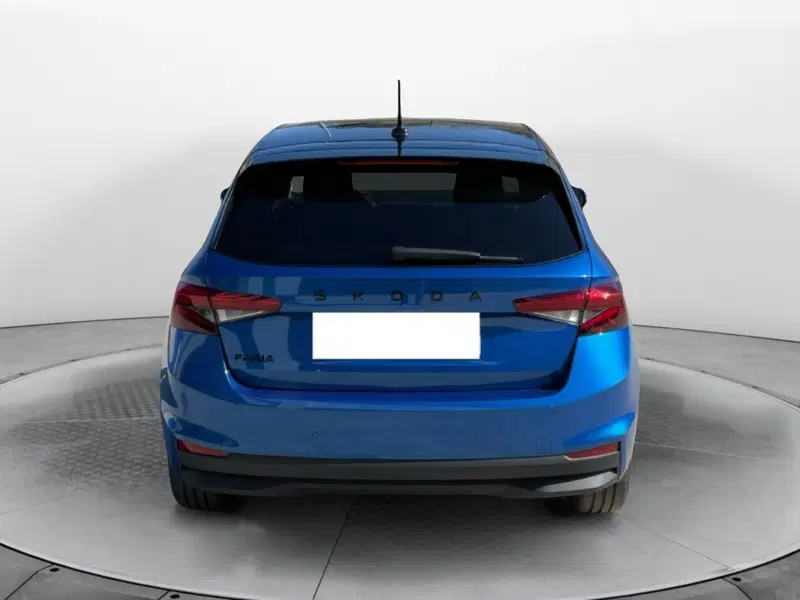 Skoda Fabia usata a Reggio Calabria (6)