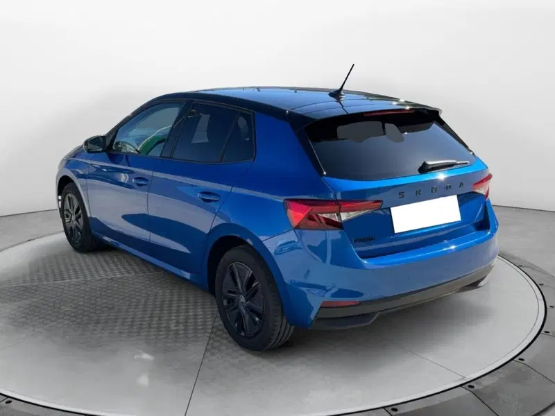 Skoda Fabia usata a Reggio Calabria (7)