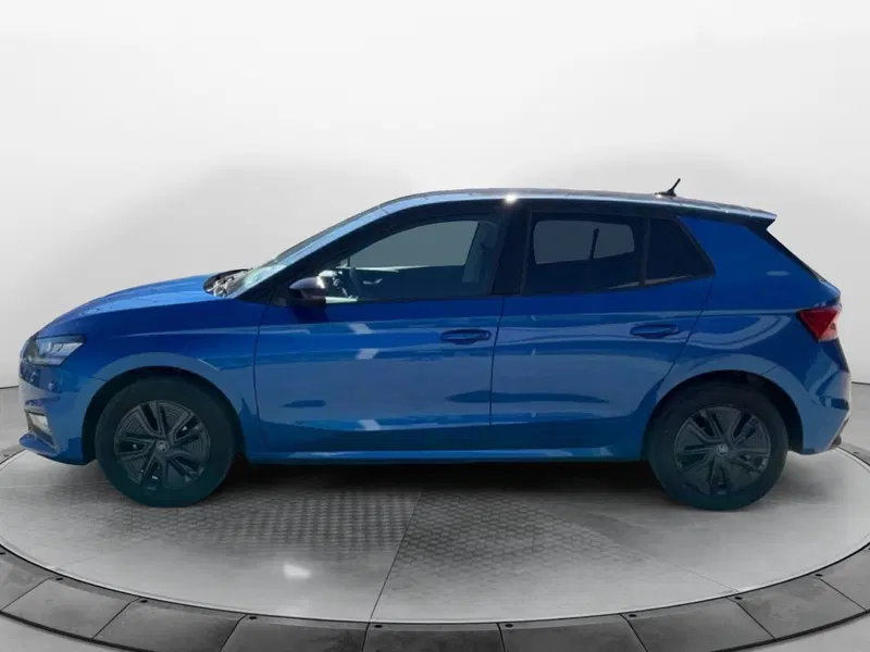 Skoda Fabia usata a Reggio Calabria (8)