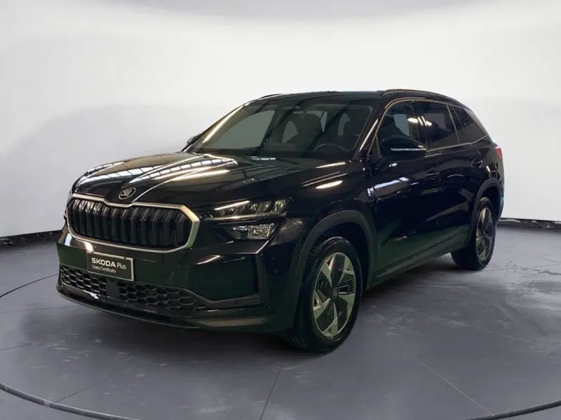 Skoda Kodiaq usata a Reggio Calabria