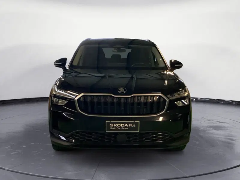 Skoda Kodiaq usata a Reggio Calabria (2)