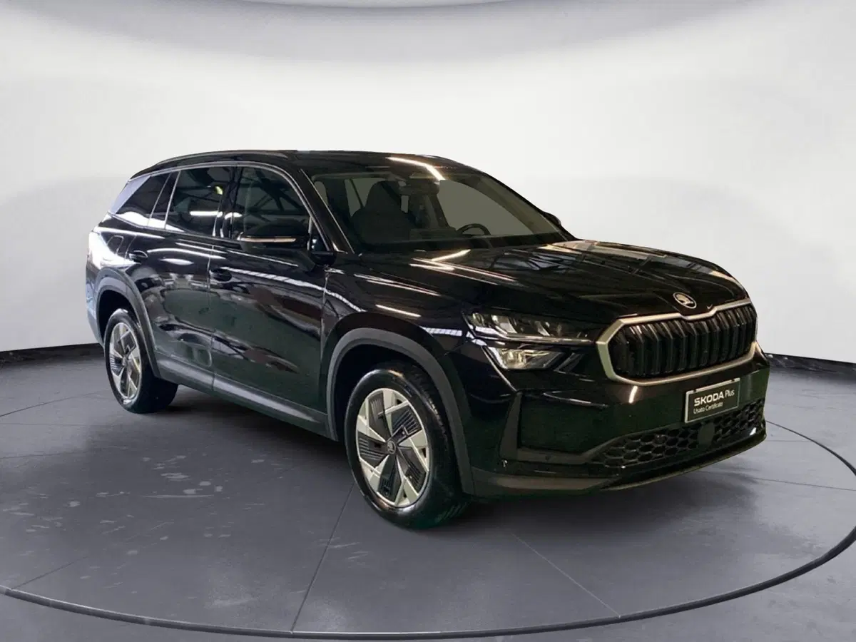 Skoda Kodiaq usata a Reggio Calabria (3)
