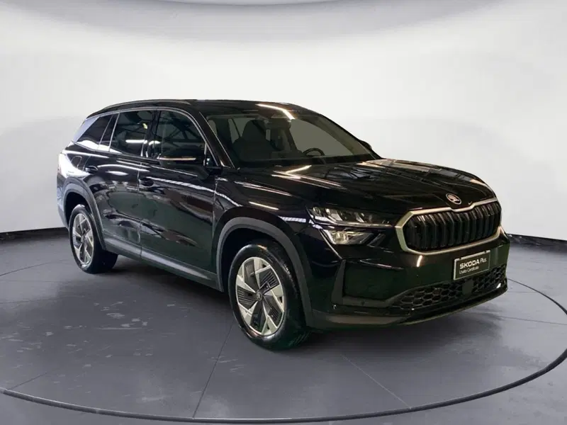 Skoda Kodiaq usata a Reggio Calabria (3)