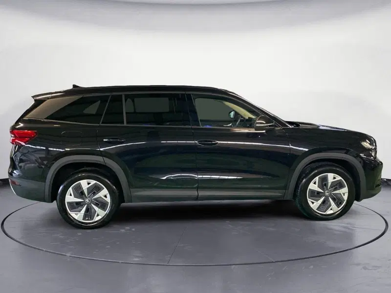 Skoda Kodiaq usata a Reggio Calabria (4)