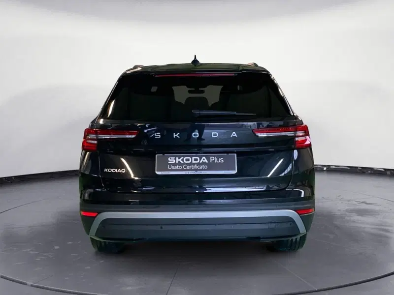 Skoda Kodiaq usata a Reggio Calabria (6)