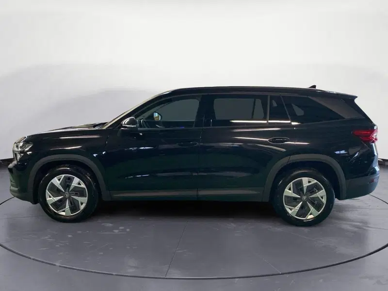 Skoda Kodiaq usata a Reggio Calabria (8)