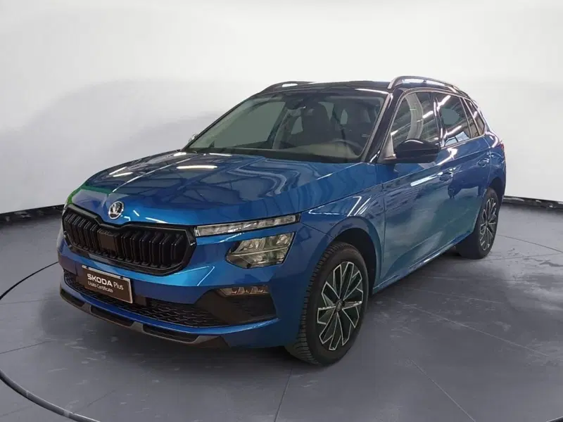 Skoda Kamiq usata a Catanzaro