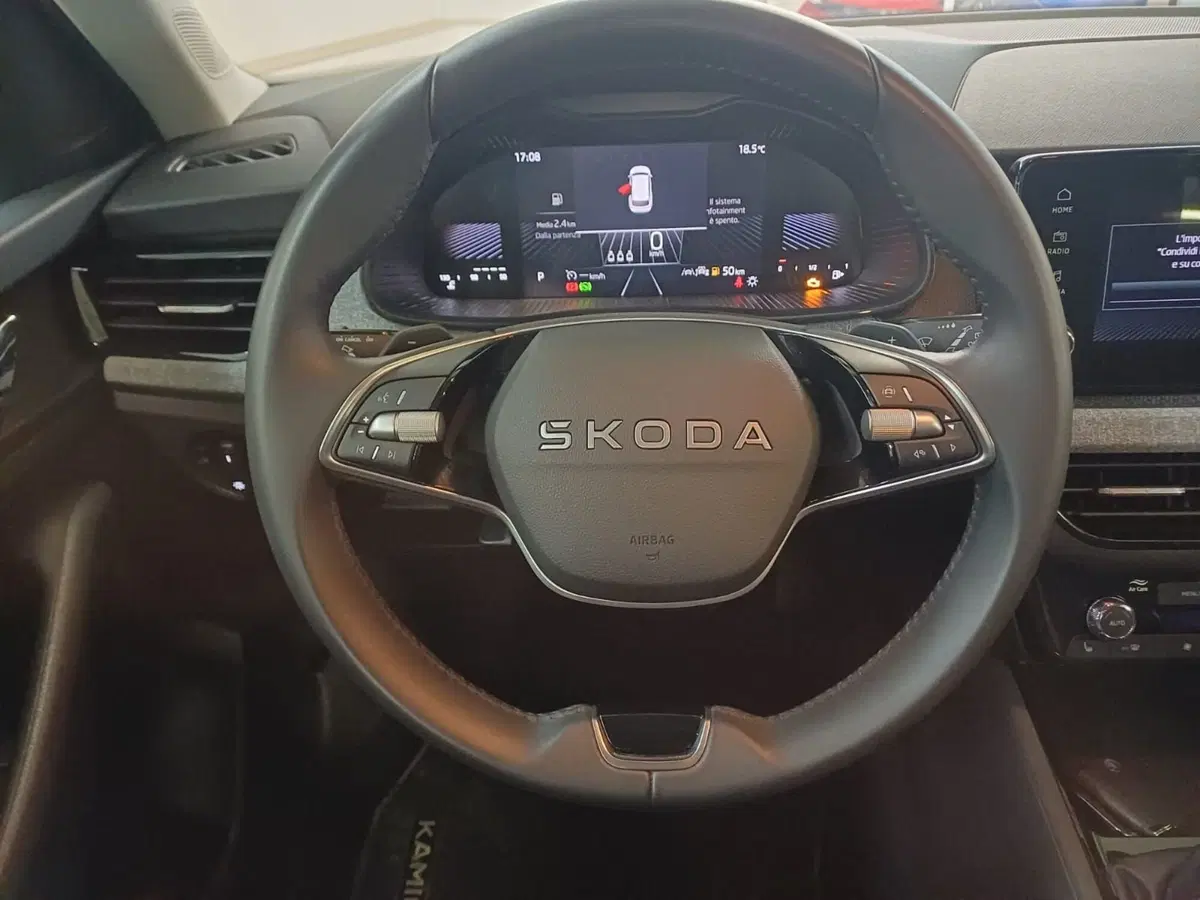 Skoda Kamiq usata a Catanzaro (12)