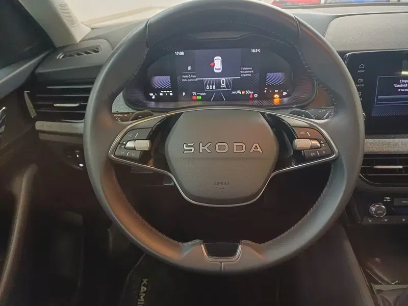 Skoda Kamiq usata a Catanzaro (12)