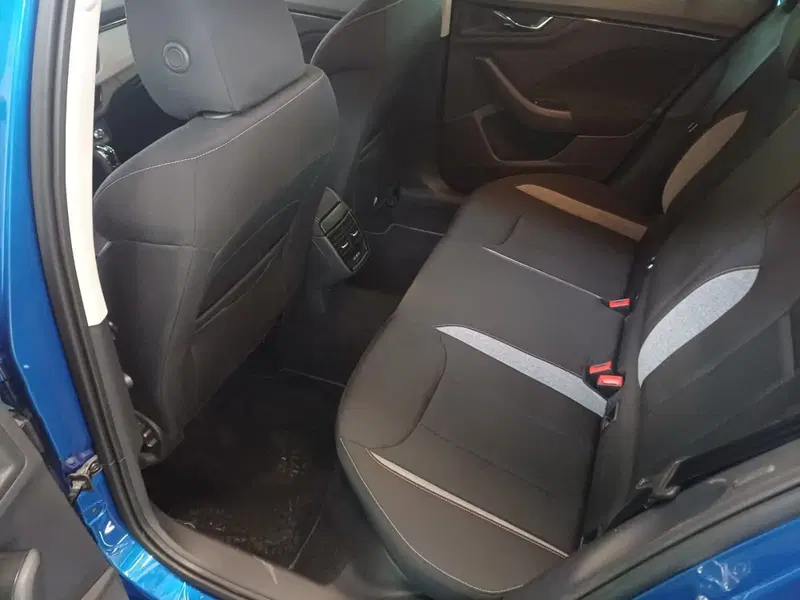 Skoda Kamiq usata a Catanzaro (19)