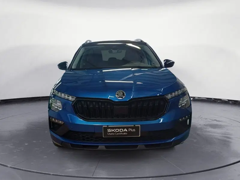 Skoda Kamiq usata a Catanzaro (2)