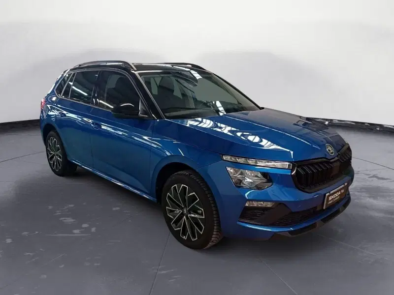 Skoda Kamiq usata a Catanzaro (3)