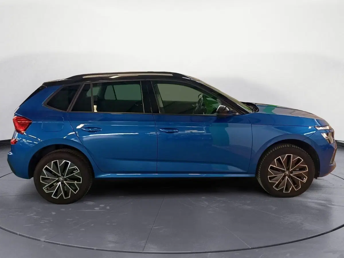 Skoda Kamiq usata a Catanzaro (4)
