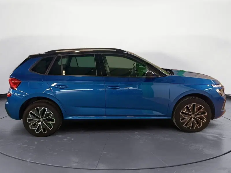 Skoda Kamiq usata a Catanzaro (4)