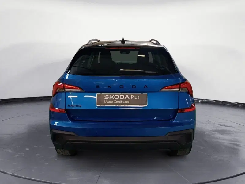 Skoda Kamiq usata a Catanzaro (6)