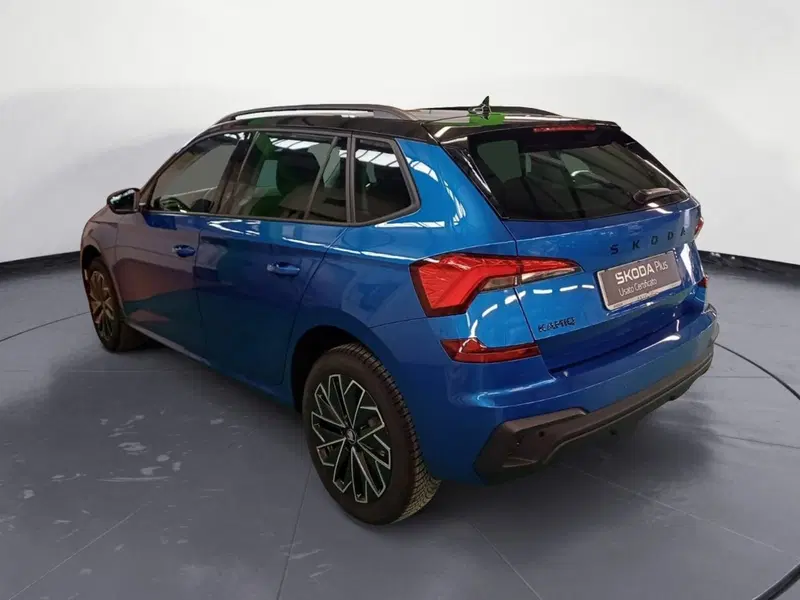 Skoda Kamiq usata a Catanzaro (7)