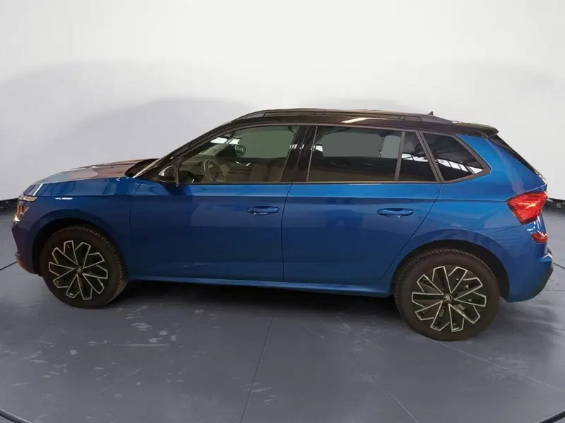 Skoda Kamiq usata a Catanzaro (8)