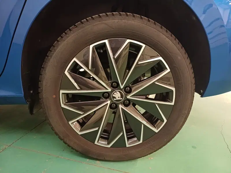 Skoda Kamiq usata a Catanzaro (9)
