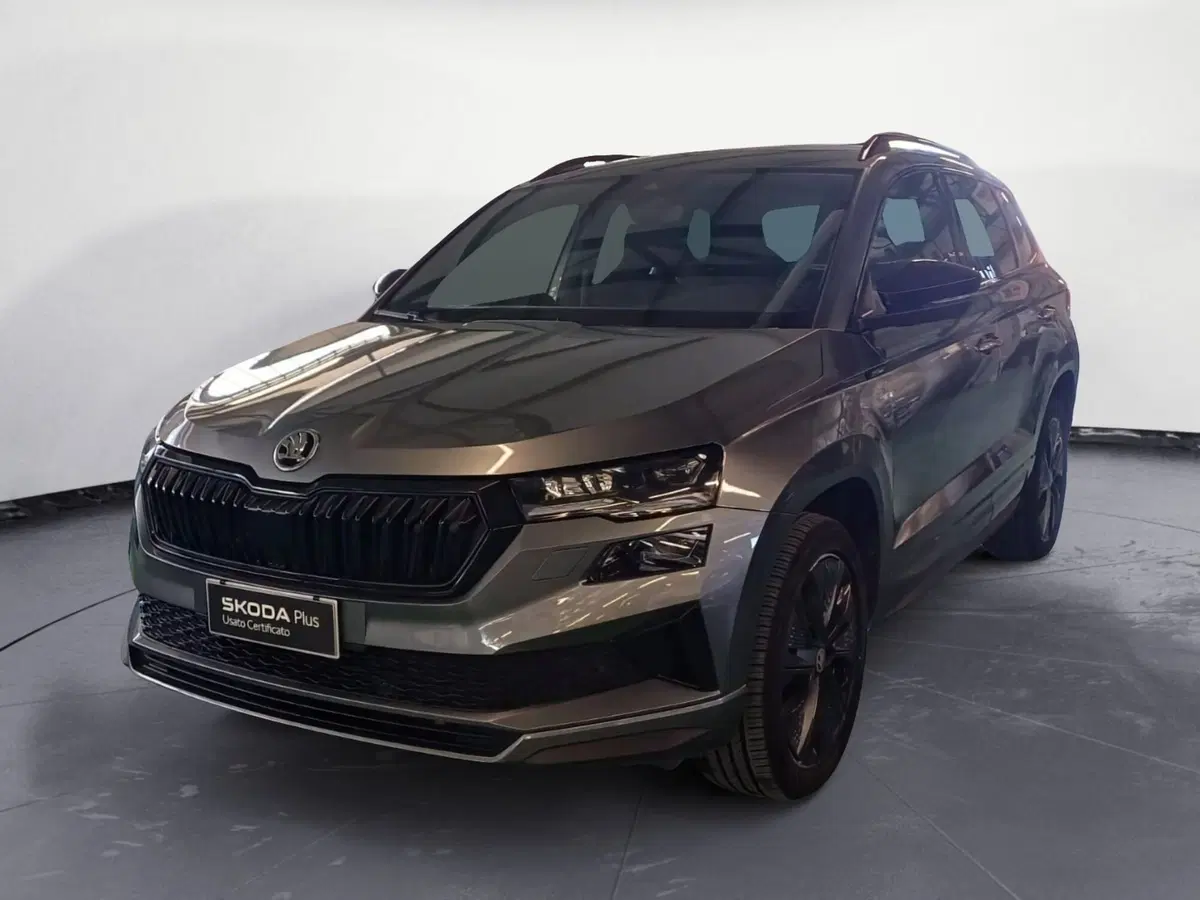 Skoda Karoq usata a Reggio Calabria
