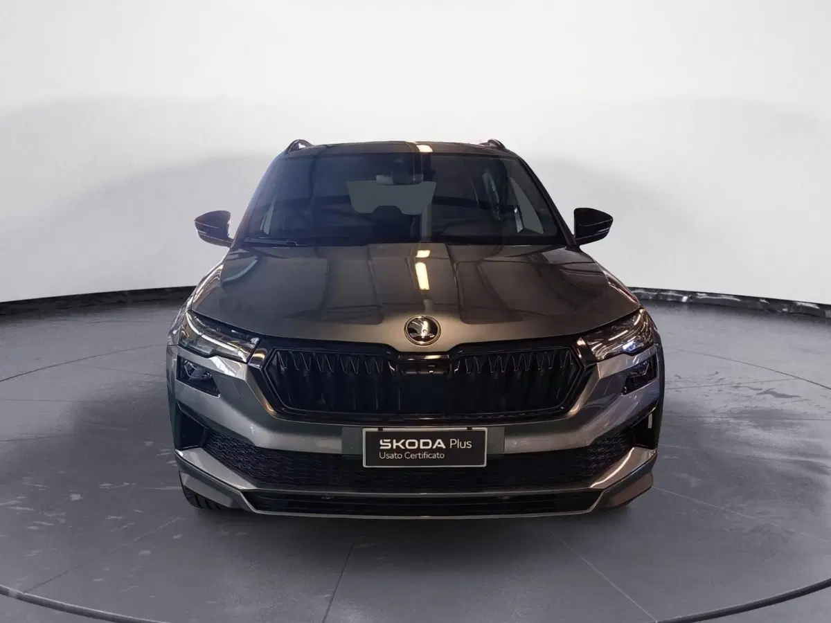 Skoda Karoq usata a Reggio Calabria (2)