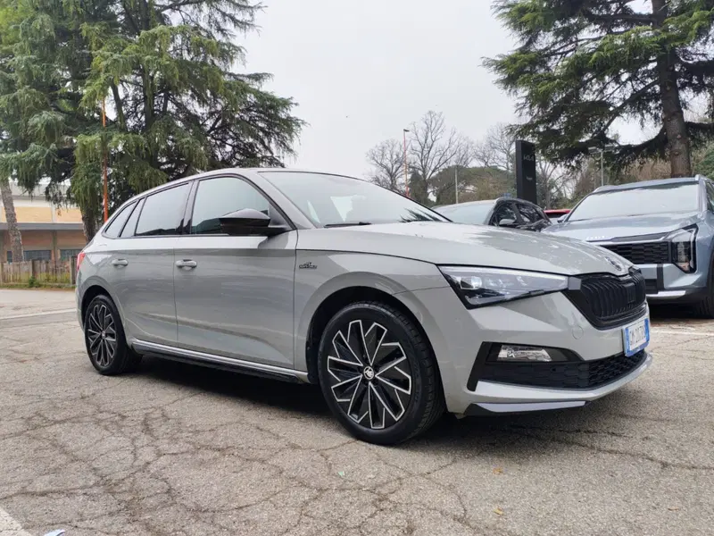 Skoda Scala usata a Rimini (3)