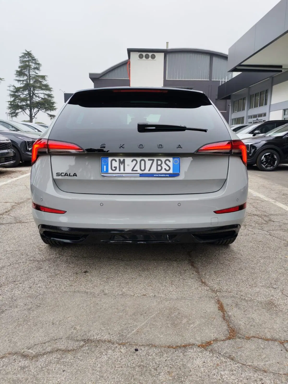 Skoda Scala usata a Rimini (6)