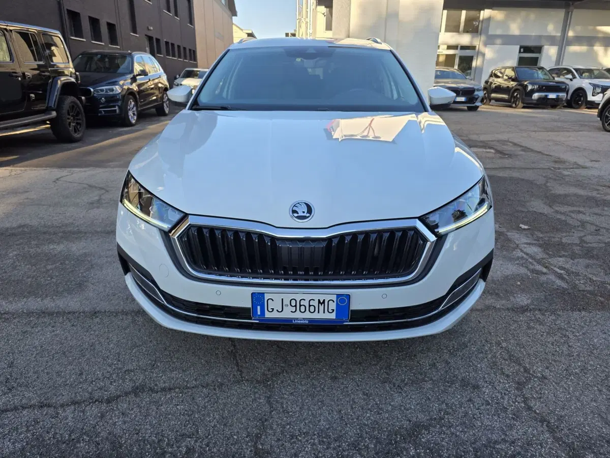 Skoda Octavia Station Wagon usata a Rimini (2)