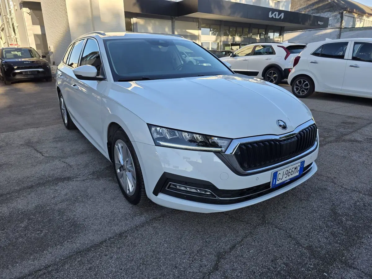 Skoda Octavia Station Wagon usata a Rimini (3)