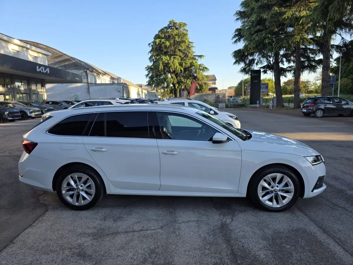 Skoda Octavia Station Wagon usata a Rimini (4)