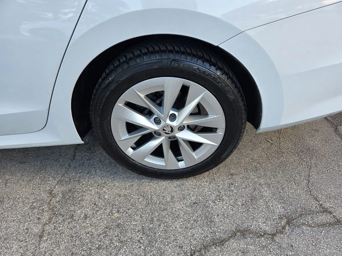 Skoda Octavia Station Wagon usata a Rimini (9)